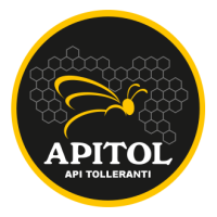 apitol