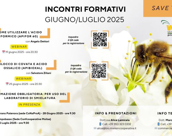 INCONTRI FORMATIVI GIUGNO/LUGLIO 2025 – VOLAPE