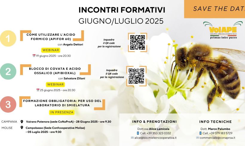 INCONTRI FORMATIVI GIUGNO/LUGLIO 2025 – VOLAPE INCONTRI FORMATIVI GIUGNO/LUGLIO 2025 – VOLAPE