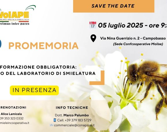 Formazione Obbligatoria: Per uso del laboratorio di smielatura