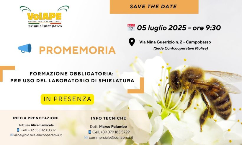 Formazione Obbligatoria: Per uso del laboratorio di smielatura